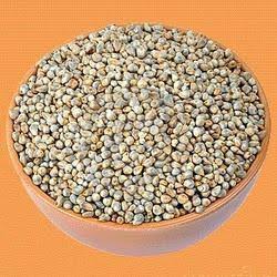 Bajra (Pearl Millet) (1.5 Kg)