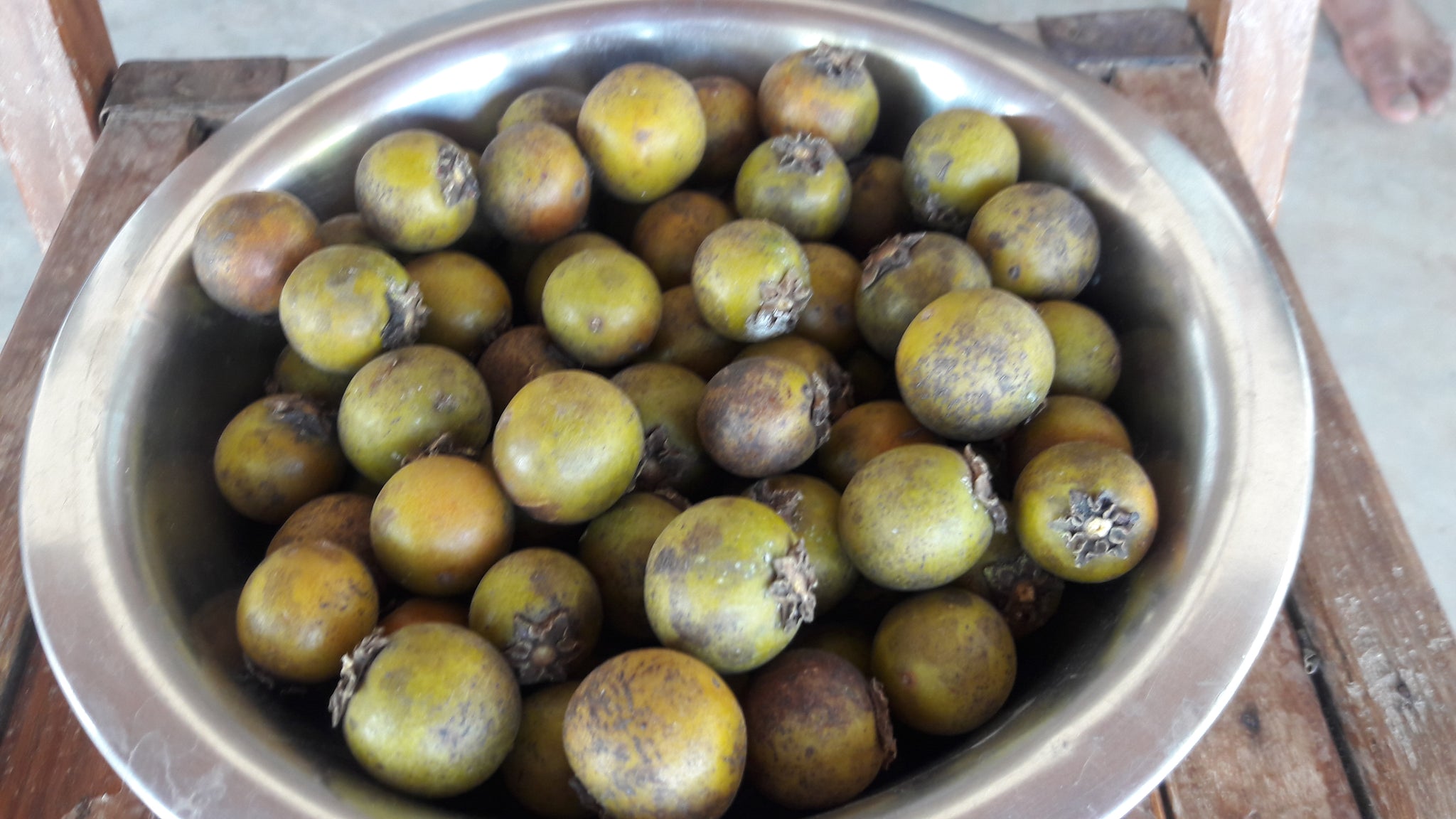Tendu (Indian Forest Persimmon) Fruit (750 gm)